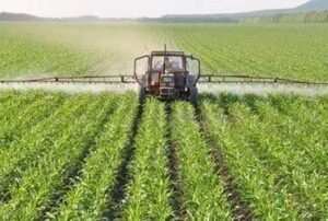 calcium phosphate fertilizer