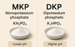 Comparison image showing monopotassium phosphate (MKP) and dipotassium phosphate (DKP) white powder in bowls for chemical and functional differentiation.